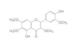 Casticin, 20 Mg, Glas