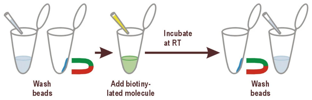 MagSi-STA 1.0, 2 Ml 6 MagSi-STA 1.0, 2 Ml – Bild 4