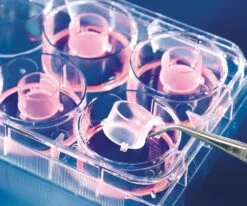 Laborbedarf Geschäft -Laborbedarf Geschäft 1CEC 02 1000Wx1000H