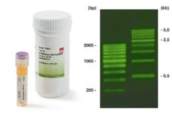 SYBR® Green DNA-Farbstoff, 9.0 Ml, 5 X 1.8 Ml
