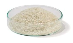 Bovines Serumalbumin (BSA) Fraktion V, PH 5.2, US-Origin, 200 G