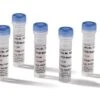 PCR Wasser, 75 Ml, 50 X 1,5 Ml In Röhrchen -Laborbedarf Geschäft 1HPE 1000Wx1000H