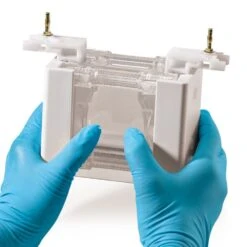 Elektrophorese-Kammer ROTIPHORESE® PROclamp MINI, Komplett-Set -Laborbedarf Geschäft 3501 02 1000Wx1000H