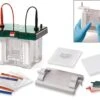 Elektrophorese-Kammer ROTIPHORESE® PROclamp MINI, Komplett-Set 1 Elektrophorese-Kammer ROTIPHORESE® PROclamp MINI, Komplett-Set -Laborbedarf Geschäft 3501 1000Wx1000H
