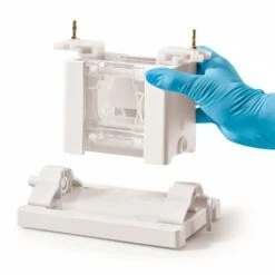 Elektrophorese-Kammer ROTIPHORESE® PROclamp MINI, Komplett-Set -Laborbedarf Geschäft 3506 1000Wx1000H