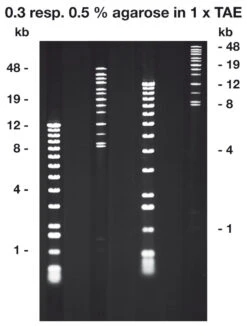 Agarose Pulsed-Field, 100 G