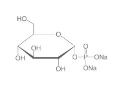 α-D-Glucose-1-phosphat Dinatriumsalz Tetrahydrat, 10 G