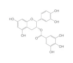 (-)-Epicatechingallat