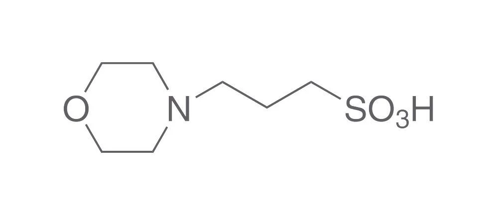 MOPS, 1 Kg 4 MOPS, 1 Kg – Bild 2