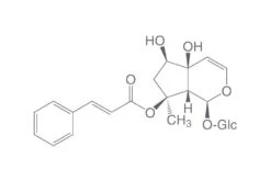 Harpagosid, 25 Mg, Glas
