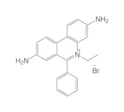 Ethidiumbromid, 1 G