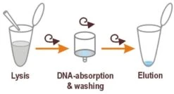 ROTI®Prep Genomic DNA MINI, 250 Präparationen -Laborbedarf Geschäft 8472 RotiPrepGenomic Ablaufschema 1000Wx1000H
