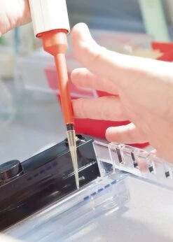 ROTI®Load DNA 1x (mit Glycerin) -Laborbedarf Geschäft Agarosegel Auftrag 01 1000Wx1000H