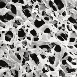 Membranfilter Durapore® PVDF Hydrophil, 0,10 µm, Ø: 90 Mm
