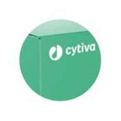 Chromatographie-Papiere Whatman® 1CHR Dicke 0,18 Mm, 20 X 20 Cm, 100 Blatt