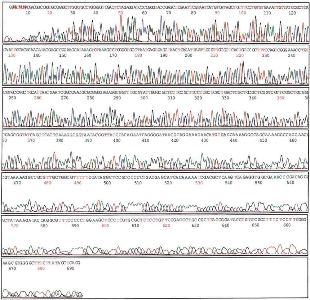 ROTIPHORESE®NF-Acrylamid/Bis-Lösung 40 (29:1), 250 Ml, Kunst. 8 ROTIPHORESE®NF-Acrylamid/Bis-Lösung 40 (29:1), 250 Ml, Kunst. – Bild 6