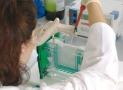 ROTIPHORESE®NF-Acrylamid/Bis-Lösung 40 (29:1), 250 Ml, Kunst. 11 ROTIPHORESE®NF-Acrylamid/Bis-Lösung 40 (29:1), 250 Ml, Kunst. -Laborbedarf Geschäft Elekvert 14 1000Wx1000H