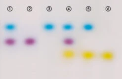 ROTI®Load DNA 1x (mit Glycerin) -Laborbedarf Geschäft HP03 1000Wx1000H