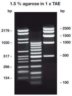 Agarose HR-PLUS, 100 G
