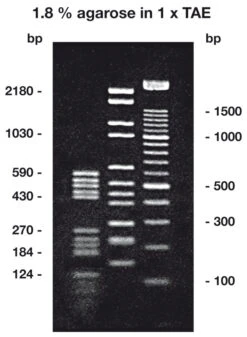 Agarose Super LM, 5 G