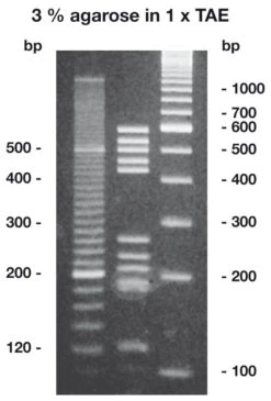 Agarose High Resolution, 10 G