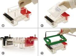 Gelkühlung PROfessional V Kühlpack