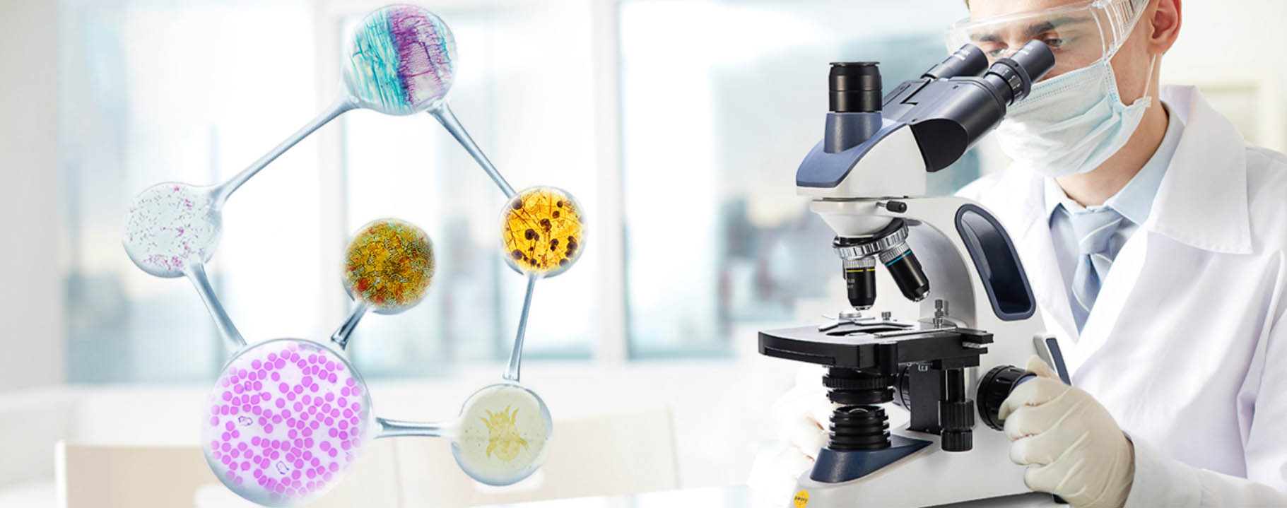 Laborbedarf Geschäft -Laborbedarf Geschäft sfsf